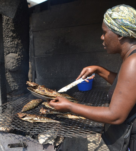 Data Systems Experts - Gestion de Données Professionnelle