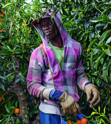 Masters du Code - Développement Sur Mesure